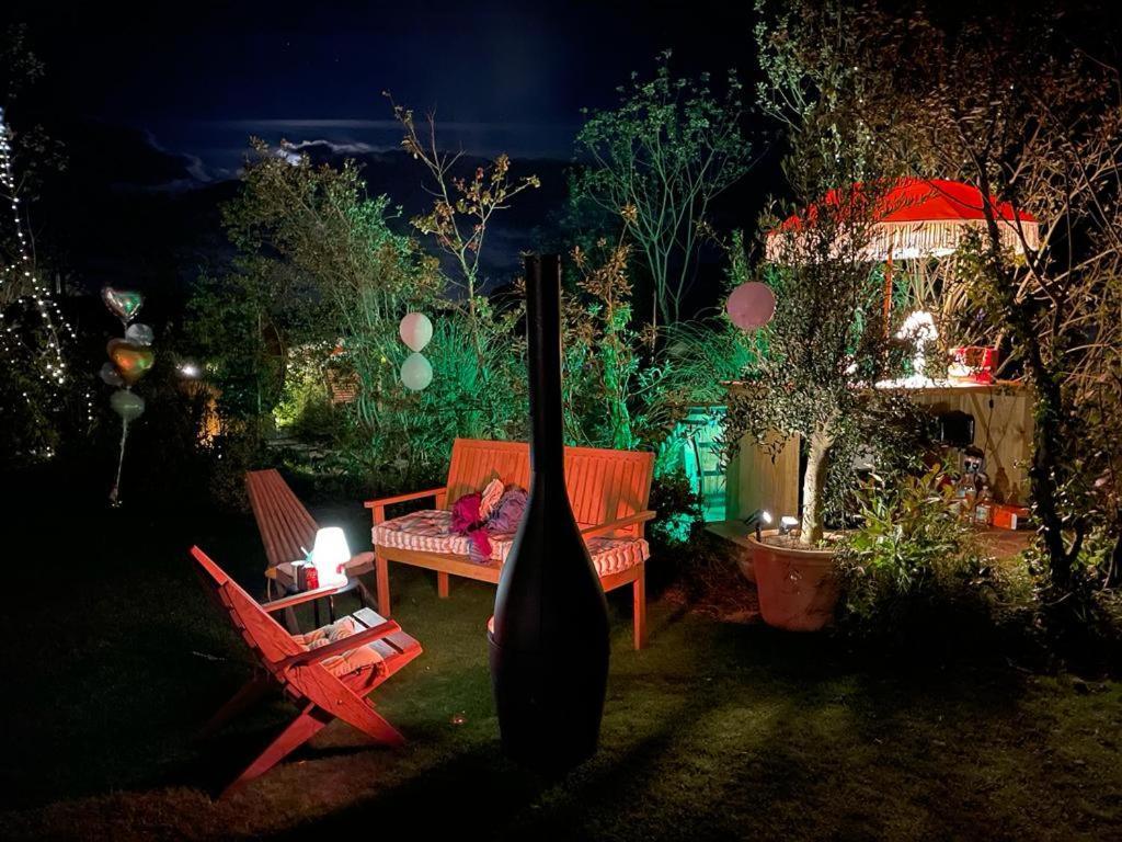 Dragonfly Glamping Spa Retreat アシュフォード エクステリア 写真