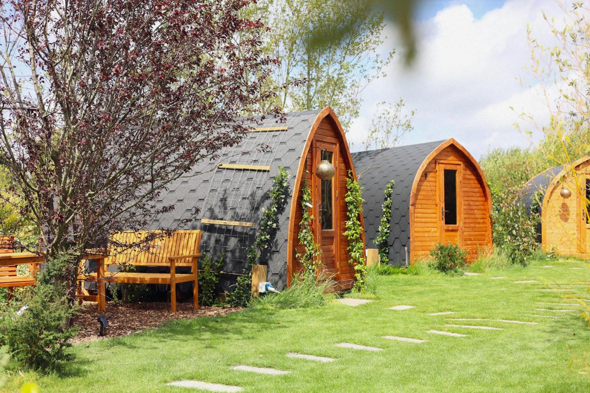 Dragonfly Glamping Spa Retreat アシュフォード エクステリア 写真